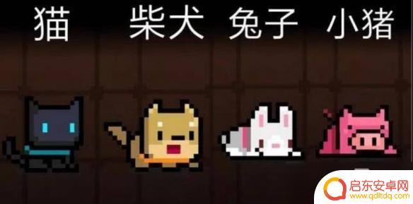 元气骑士怎么切换宠物 元气骑士怎么换宠物