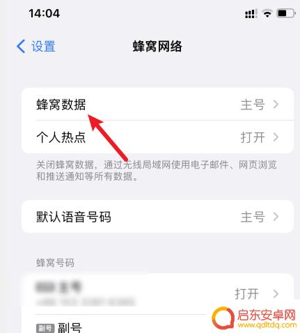 苹果手机如何取消流量连接 苹果手机如何关闭数据网络