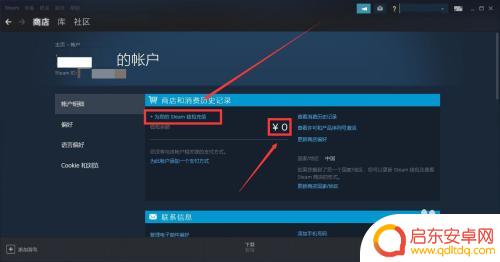 如何开通steam钱包支付 Steam支付方式没有Steam钱包选项