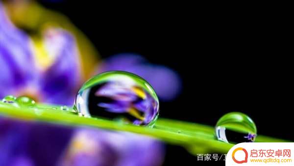 手机摄影点滴怎么拍(手机摄影点滴怎么拍的)