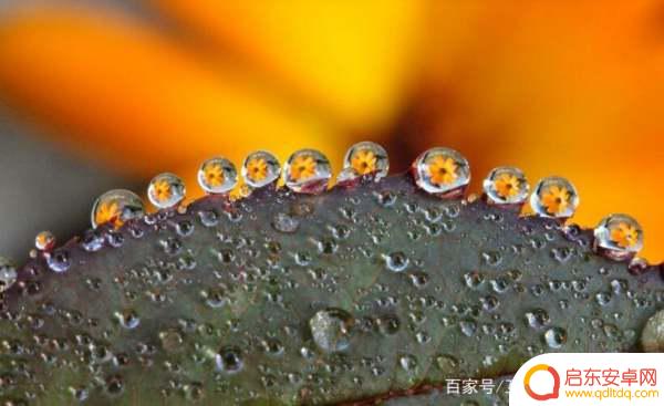 手机摄影点滴怎么拍(手机摄影点滴怎么拍的)