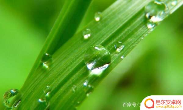 手机摄影点滴怎么拍(手机摄影点滴怎么拍的)