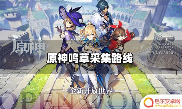 原神鸣草哪里获得 原神鸣草采集路线推荐