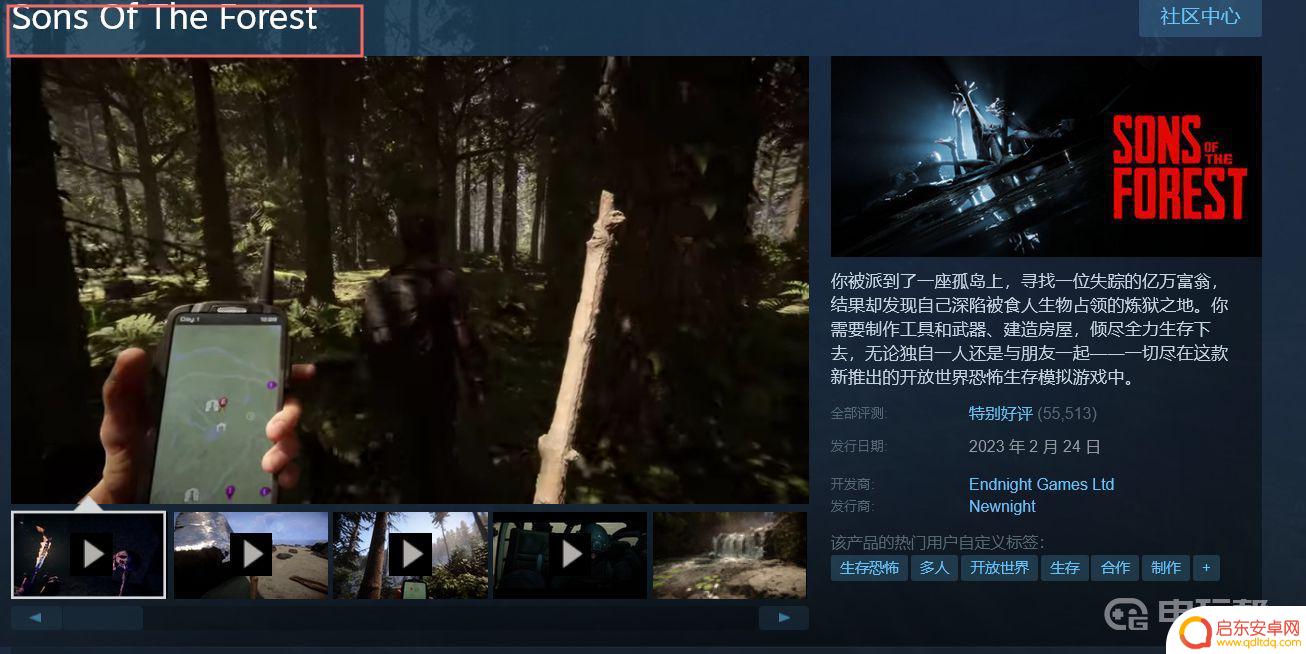 森林之子steam多少g 《森林之子》有多少个g