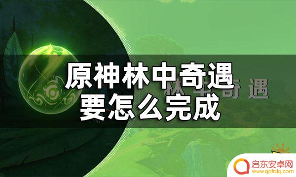 原神林中奇遇是森林书吗 林中奇遇任务森林书第一章攻略分享
