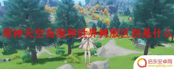 原神天空岛服和世界树服有啥区别 原神天空岛服和世界树服有什么区别和特点