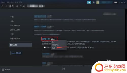 怎么不让好友看到steam游戏上线 Steam好友如何无法看到我拥有的游戏