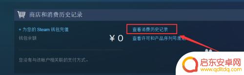 steam充了30怎么买皮肤 steam充值钱包未到账解决方法