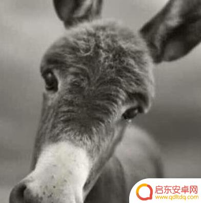 抖音头像男有个抖音标志(抖音头像男有个抖音标志是什么)