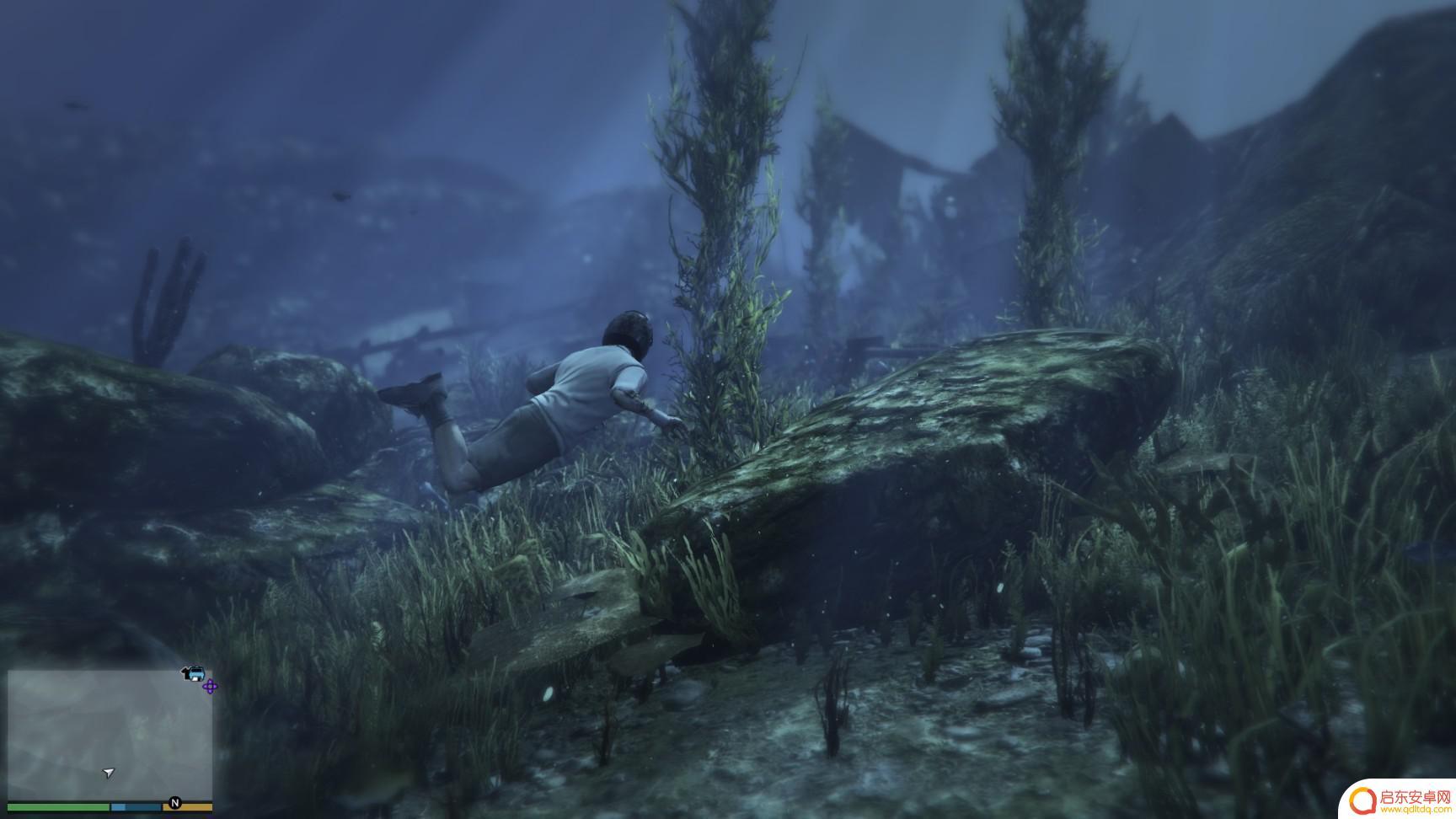 gta仙人掌位置 GTA5迷幻仙人掌出现地点