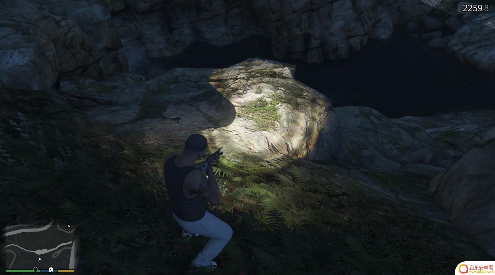 gta仙人掌位置 GTA5迷幻仙人掌出现地点