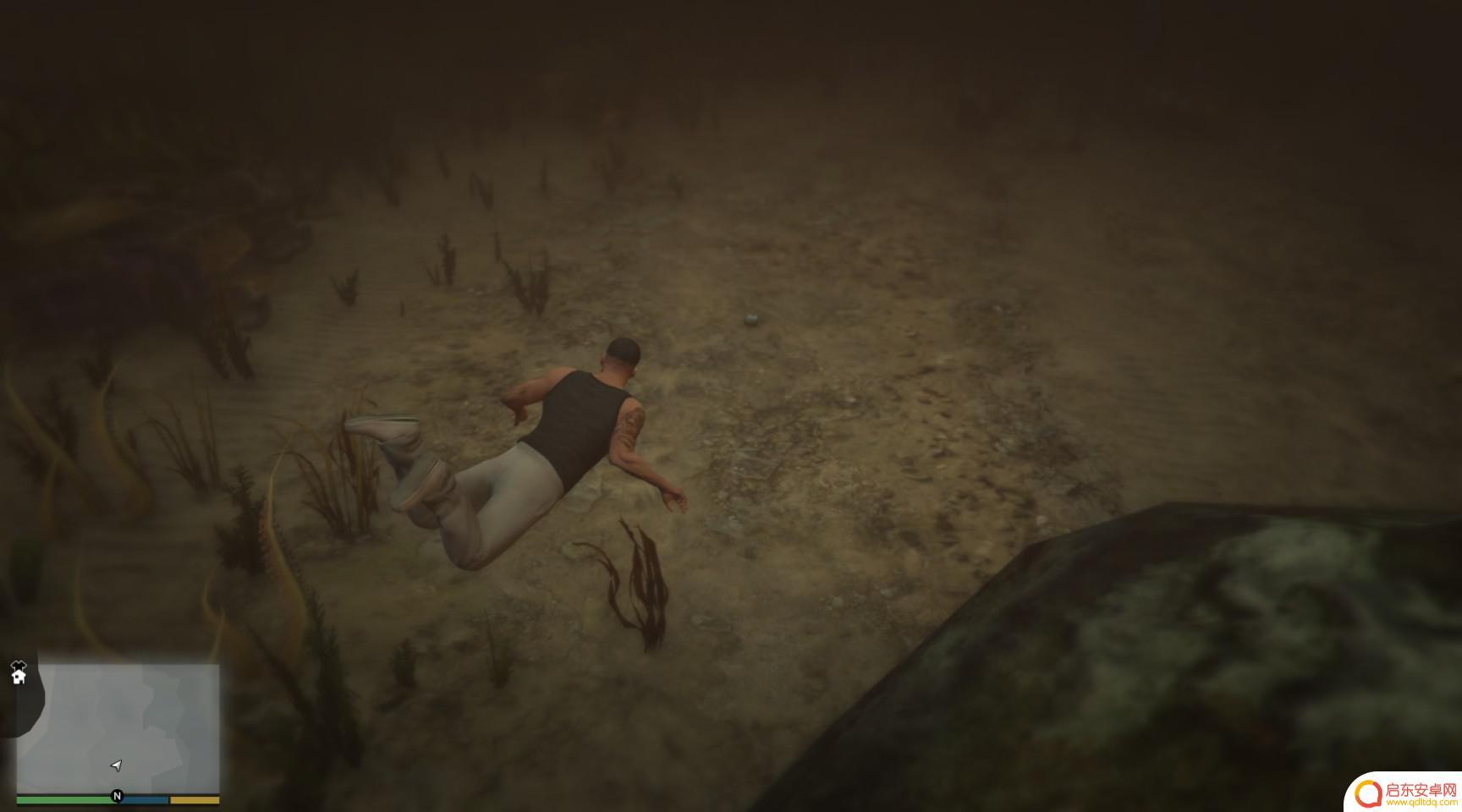 gta仙人掌位置 GTA5迷幻仙人掌出现地点