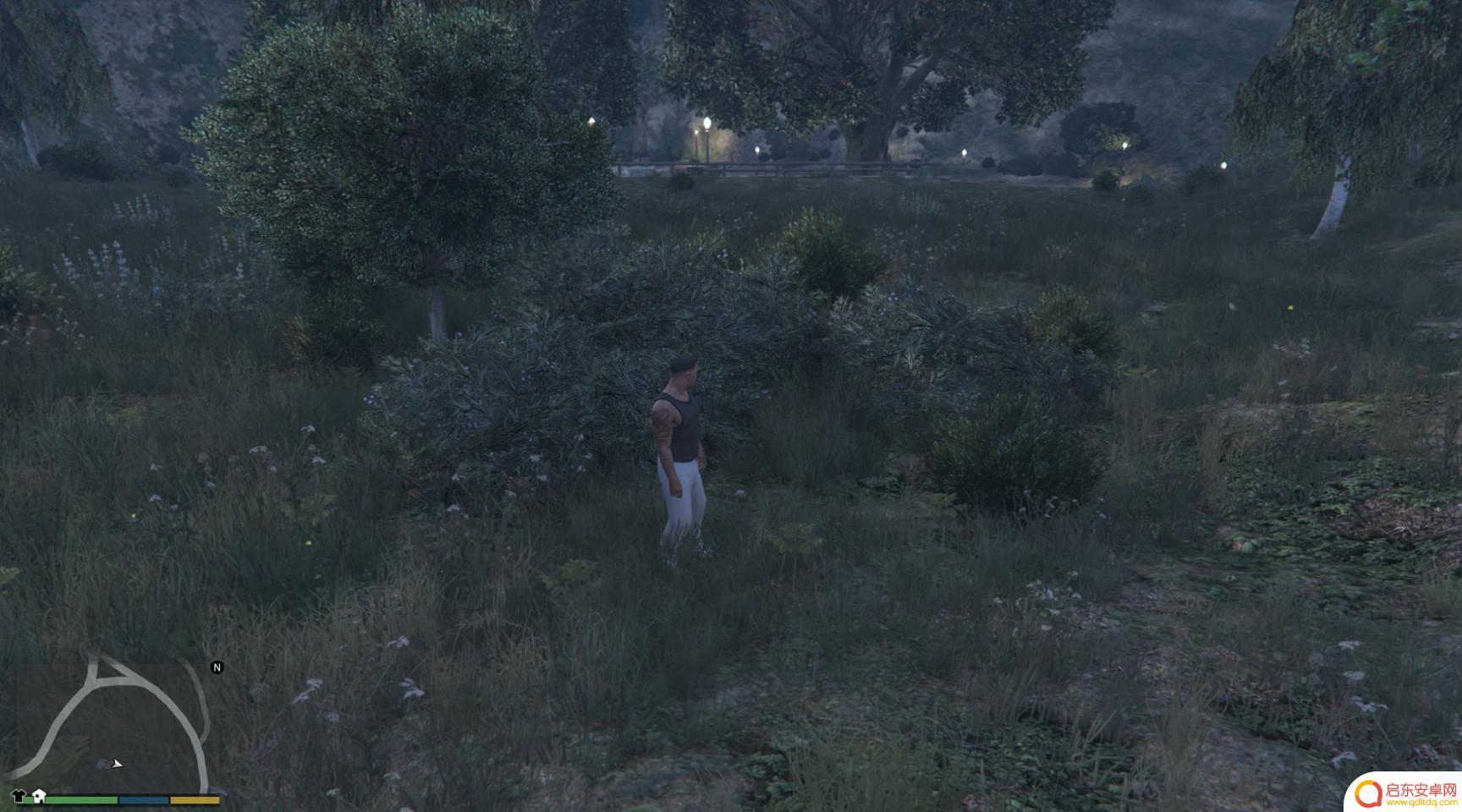 gta仙人掌位置 GTA5迷幻仙人掌出现地点