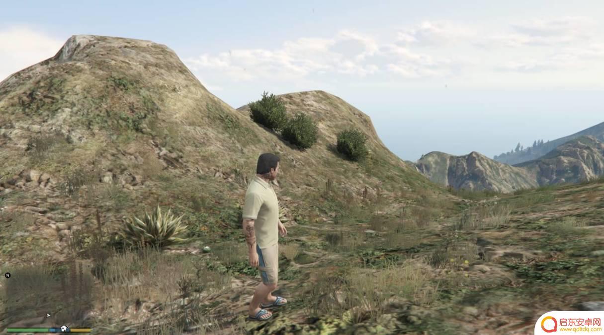 gta仙人掌位置 GTA5迷幻仙人掌出现地点