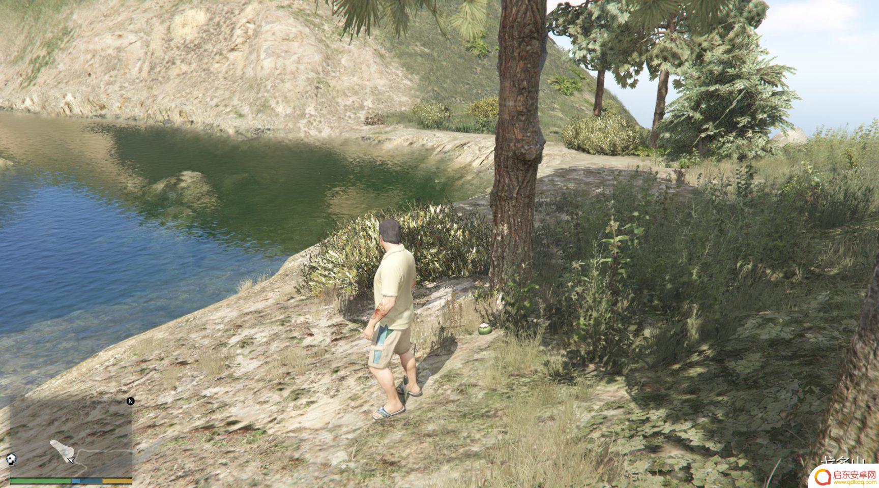 gta仙人掌位置 GTA5迷幻仙人掌出现地点