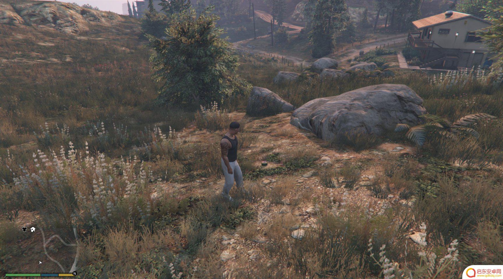 gta仙人掌位置 GTA5迷幻仙人掌出现地点
