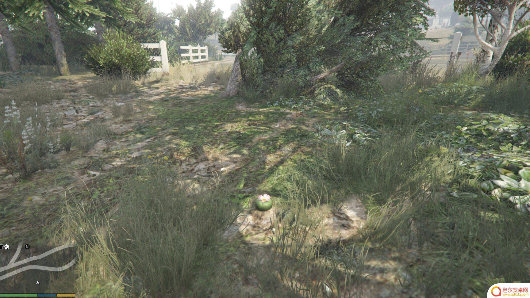 gta仙人掌位置 GTA5迷幻仙人掌出现地点