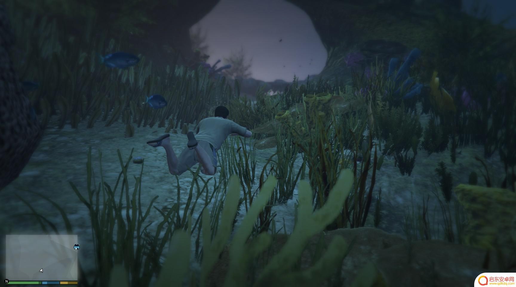 gta仙人掌位置 GTA5迷幻仙人掌出现地点