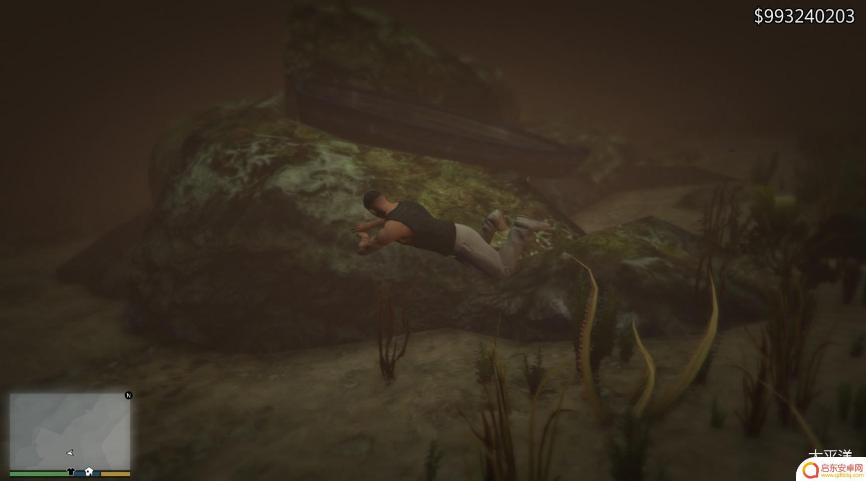 gta仙人掌位置 GTA5迷幻仙人掌出现地点