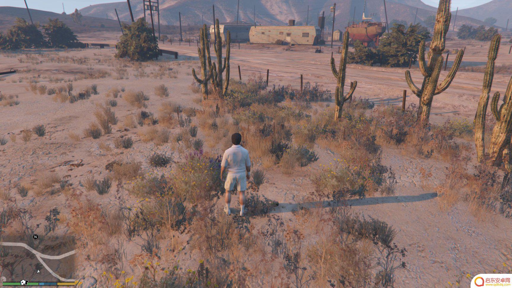 gta仙人掌位置 GTA5迷幻仙人掌出现地点