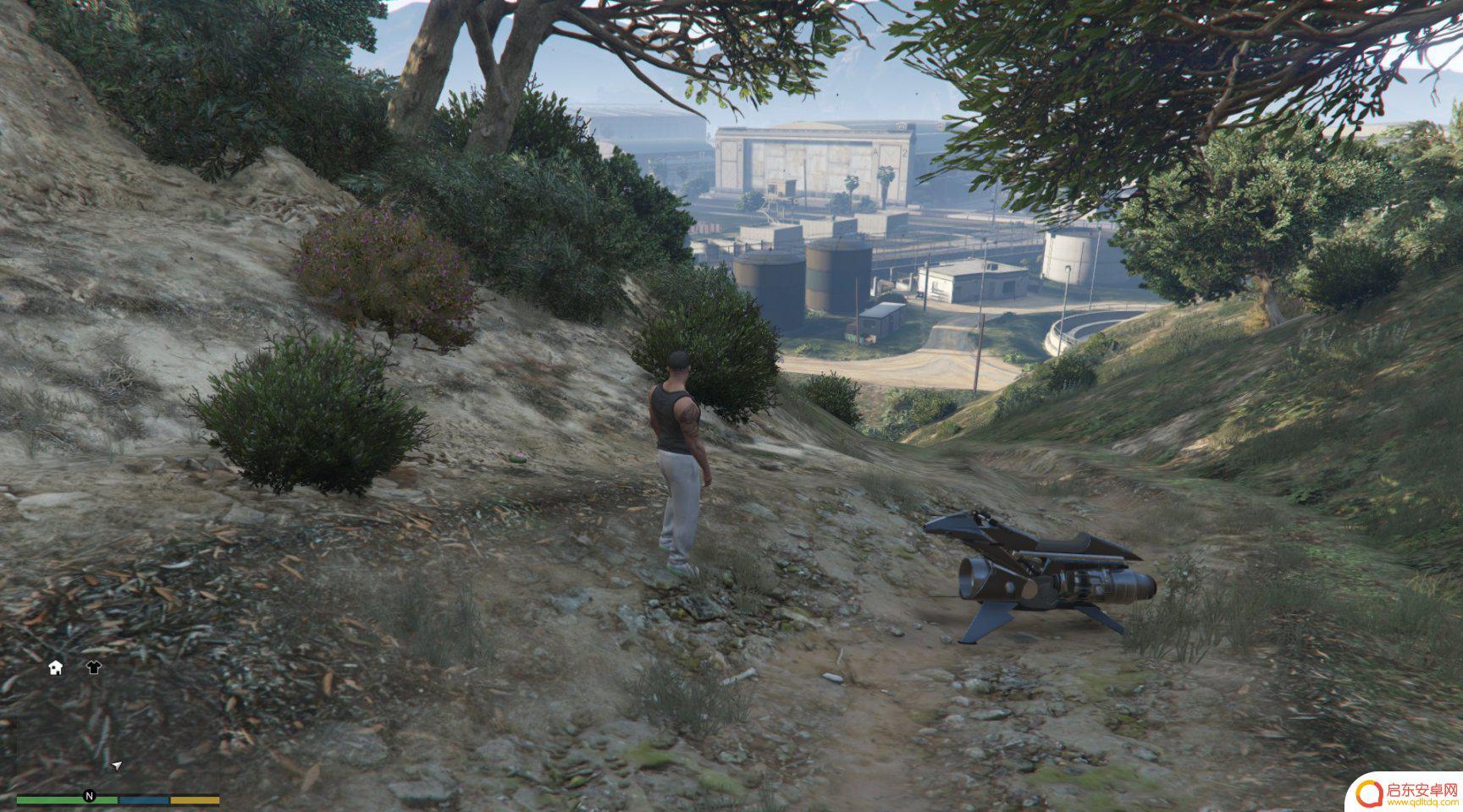 gta仙人掌位置 GTA5迷幻仙人掌出现地点