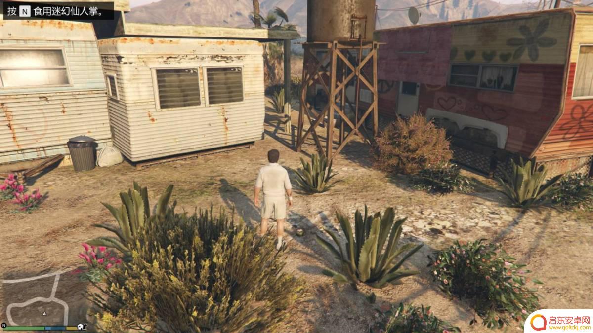 gta仙人掌位置 GTA5迷幻仙人掌出现地点