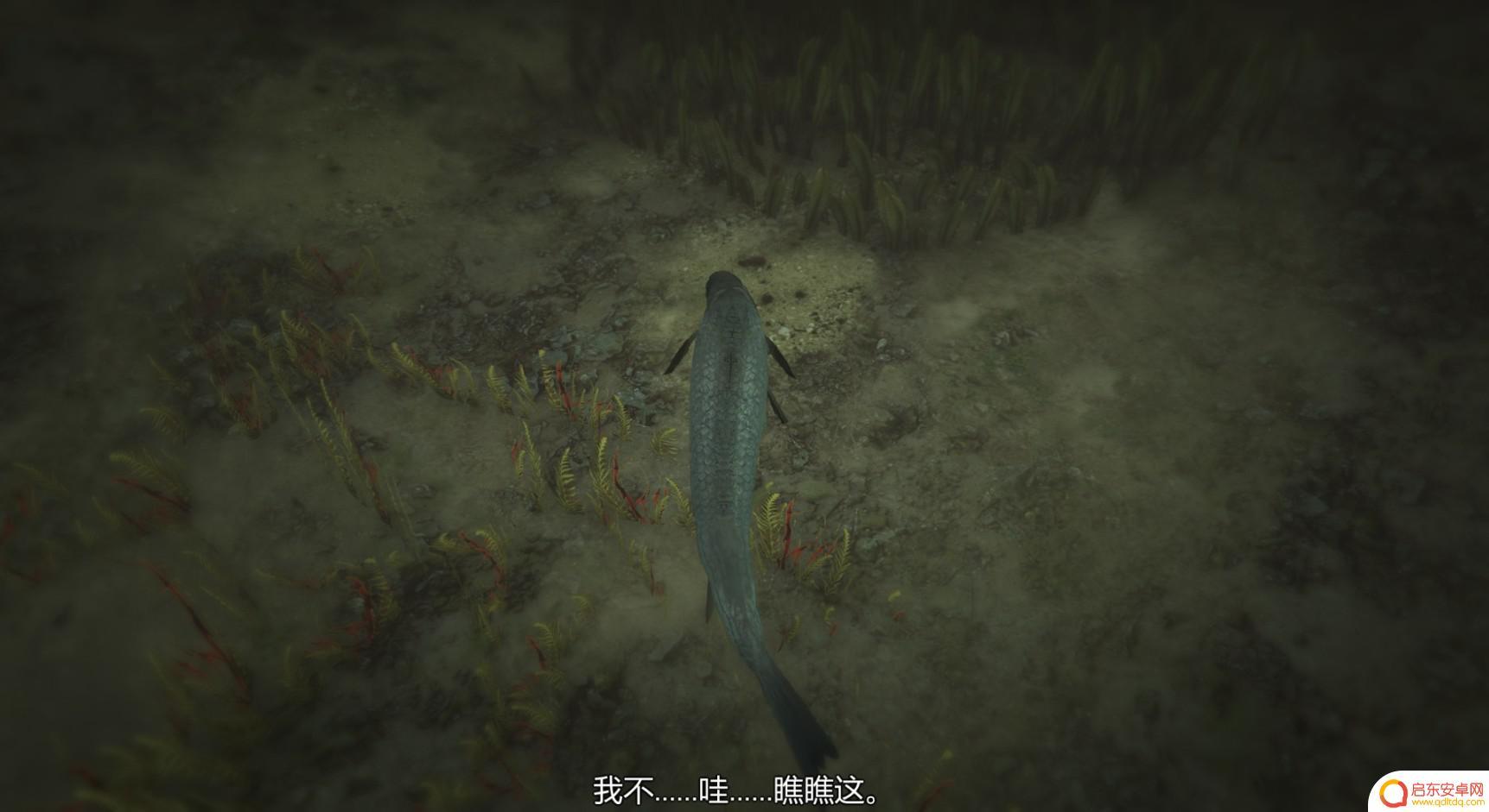 gta仙人掌位置 GTA5迷幻仙人掌出现地点