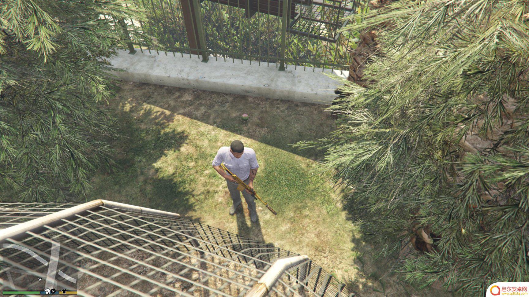 gta仙人掌位置 GTA5迷幻仙人掌出现地点