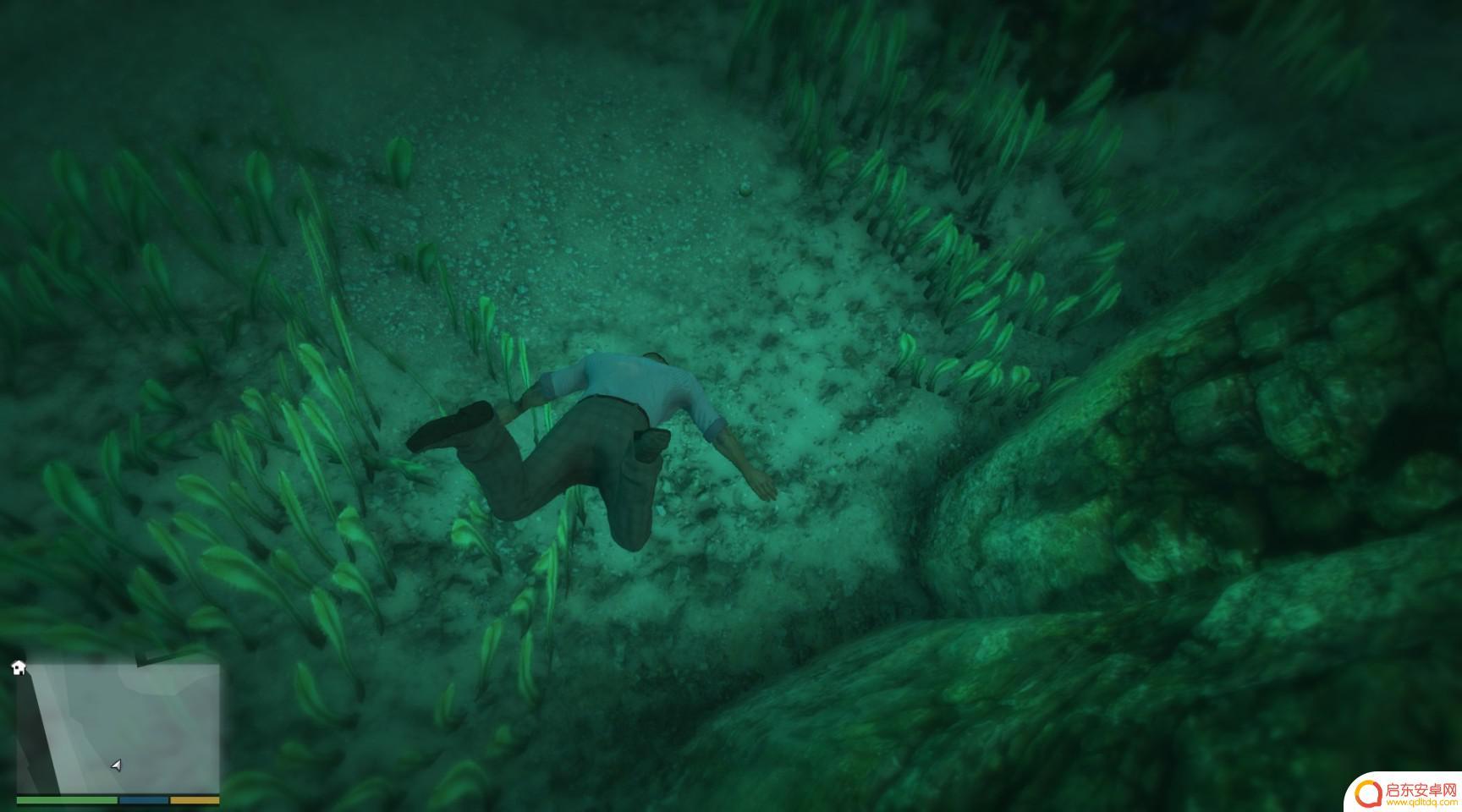 gta仙人掌位置 GTA5迷幻仙人掌出现地点