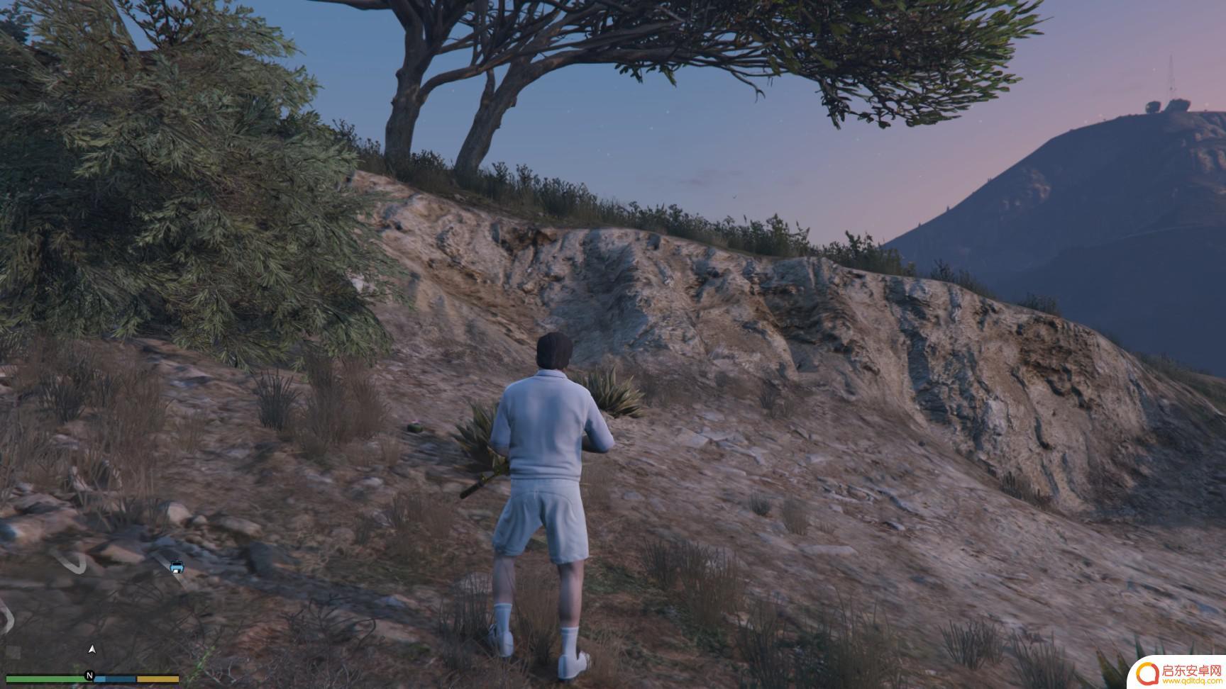 gta仙人掌位置 GTA5迷幻仙人掌出现地点