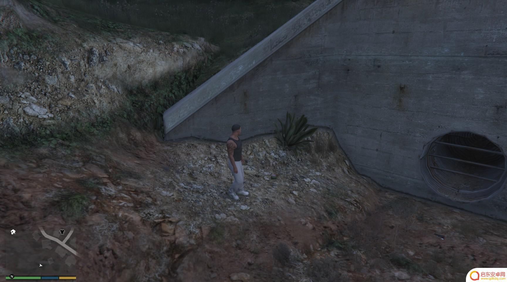 gta仙人掌位置 GTA5迷幻仙人掌出现地点