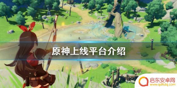 什么网站能玩原神 《原神》可以在哪些平台玩