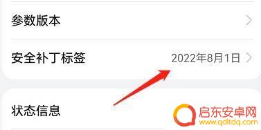补丁号怎么查看手机 查看手机的最新安全补丁标签日期方法