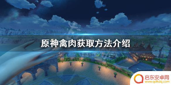 原神?禽肉 原神禽肉获取攻略