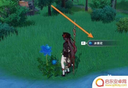 原神暗夜英雄怎么采集冰雾 晨曦酒庄第4朵冰雾花寻找指南