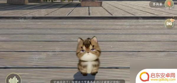 逆水寒如何养宠物 《逆水寒手游》宠物获取方法推荐