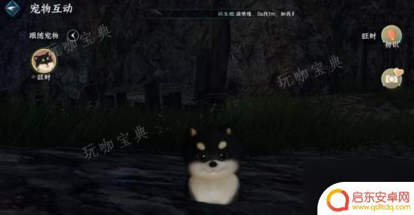 逆水寒如何养宠物 《逆水寒手游》宠物获取方法推荐