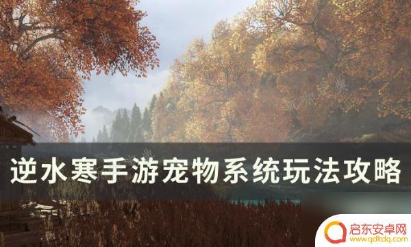 逆水寒如何养宠物 《逆水寒手游》宠物获取方法推荐