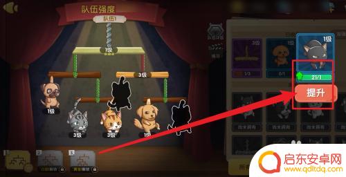 狗狗呼叫喵星怎么发音 狗狗呼叫喵星孟买猫进化方法