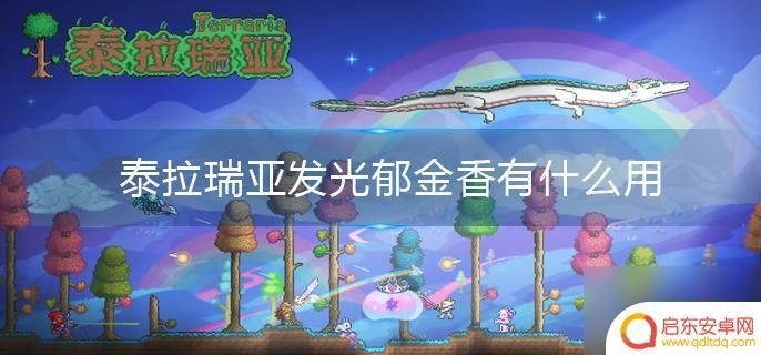 泰拉瑞亚发光郁金香怎么用 泰拉瑞亚发光郁金香用途