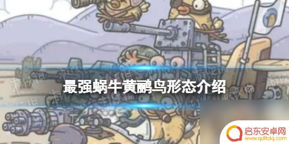 最强蜗牛黄鹂鸟全部进化形态 黄鹂鸟形态