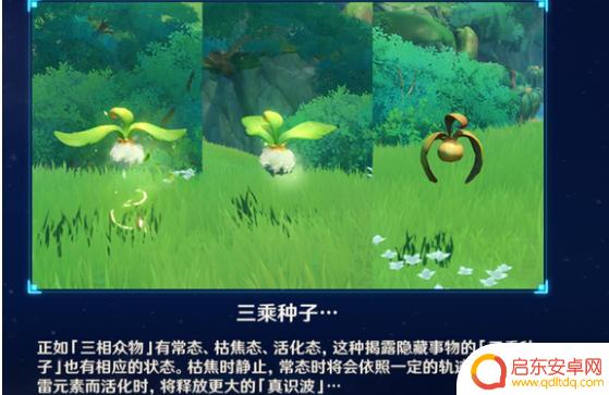 原神三乘种子枯焦后怎么活化 原神三乘种子枯焦了怎么处理