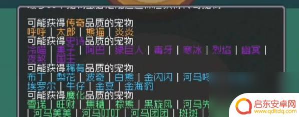 元气骑士前传如何增加宠物好感度 元气骑士前传宠物亲密度提升攻略