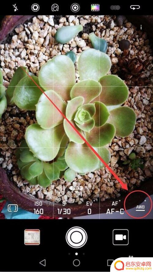 手机白平衡怎么自动 手机摄影白平衡调整技巧