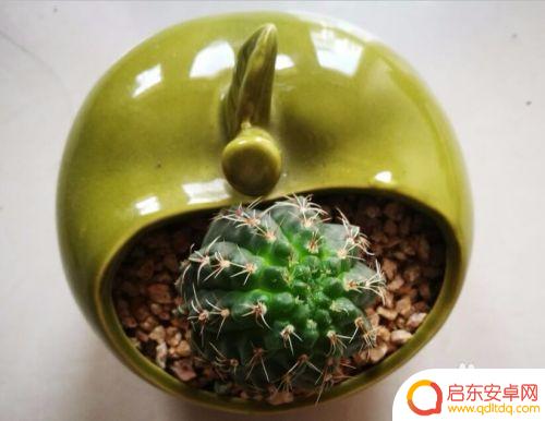 手机白平衡怎么自动 手机摄影白平衡调整技巧