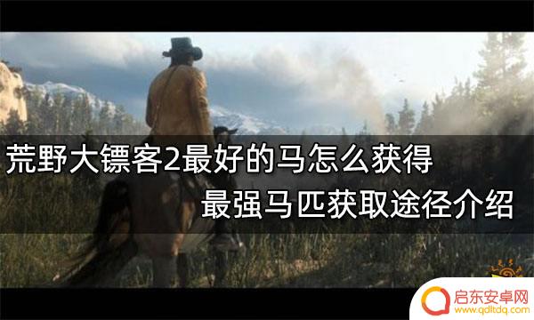 荒野大镖客线下最好的马 荒野大镖客2中最强马匹的获取途径