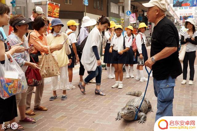 抖音上养鳄鱼视频(抖音上养鳄鱼视频是真的吗)
