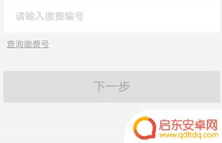 天然气手机缴费方式 如何在手机上查询天然气费用并进行缴费