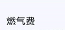 天然气手机缴费方式 如何在手机上查询天然气费用并进行缴费