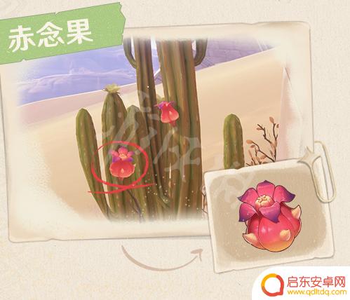 原神沙漠道具果子 原神3.1大赤沙海新特产有哪些
